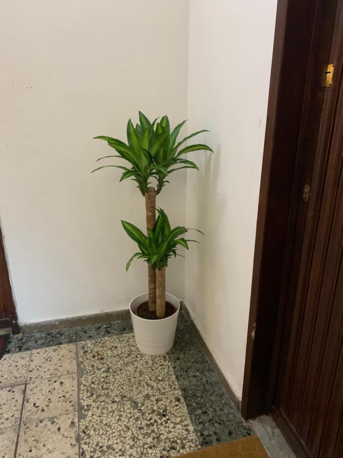 Appartement Train Station Pise